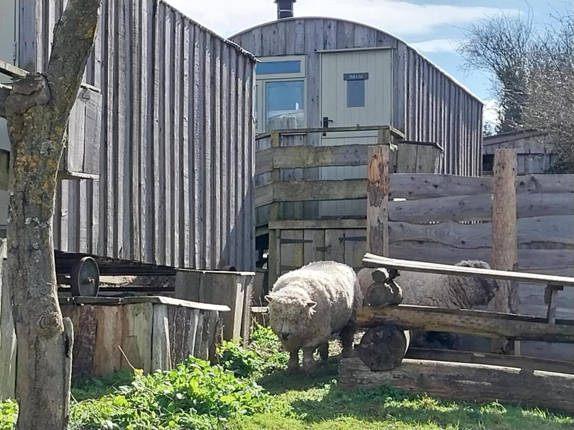 Meadowbeck - Shepherd Huts Fylingdales Exterior foto